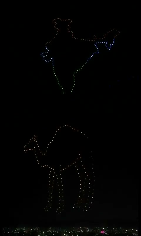 The map of India and a camel formed in drone light over Jaipur