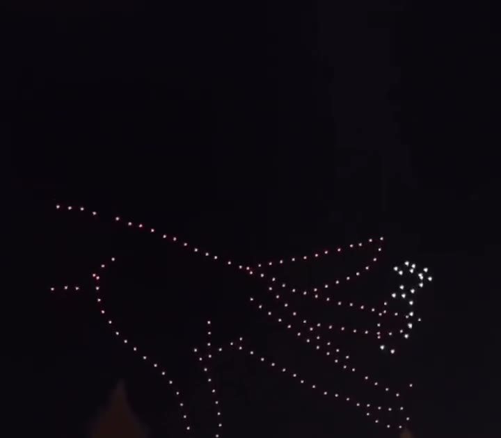 A bird formation drawn in drone light above the resort